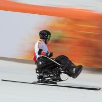 Sit-skier racing down a slope.