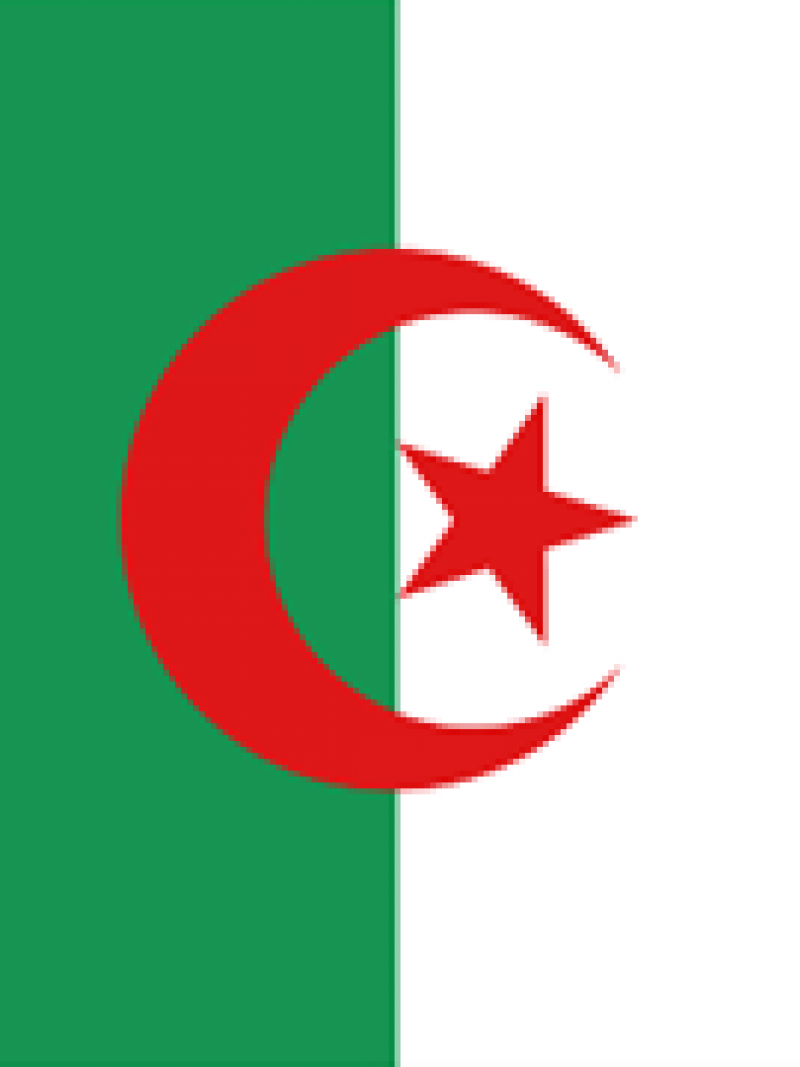 Algerian Flag