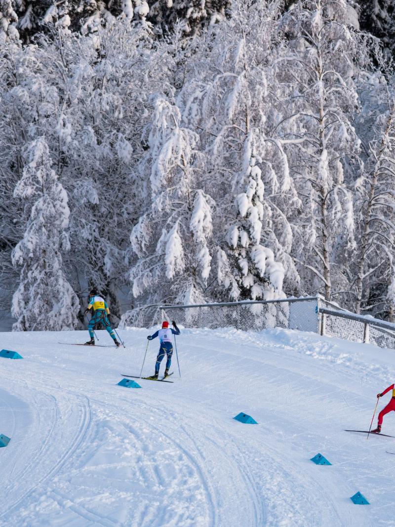 Two cross-country skiers following their guides in a circuit full of snow watched by five people