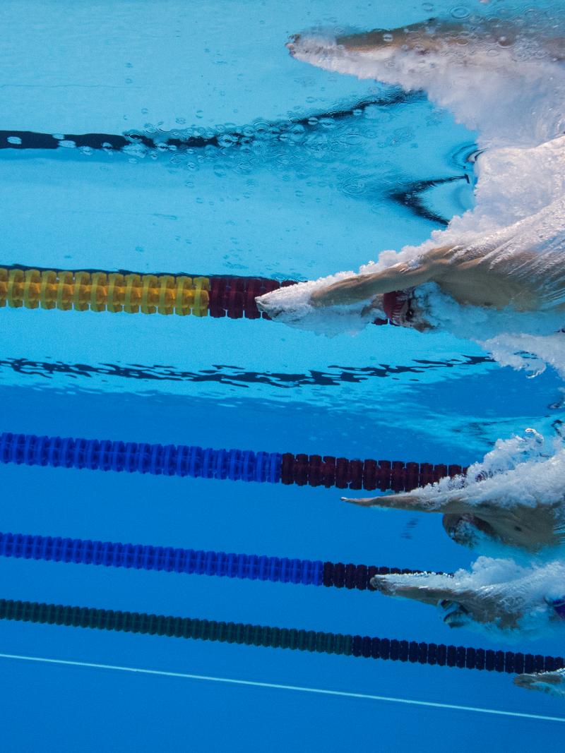 An underwater image of five swimmers jumping in a swimming pool
