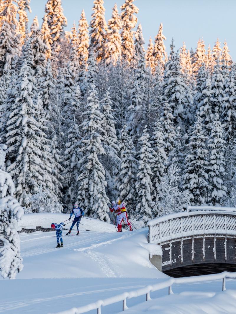 A group of cross-country skiers competing in the snow