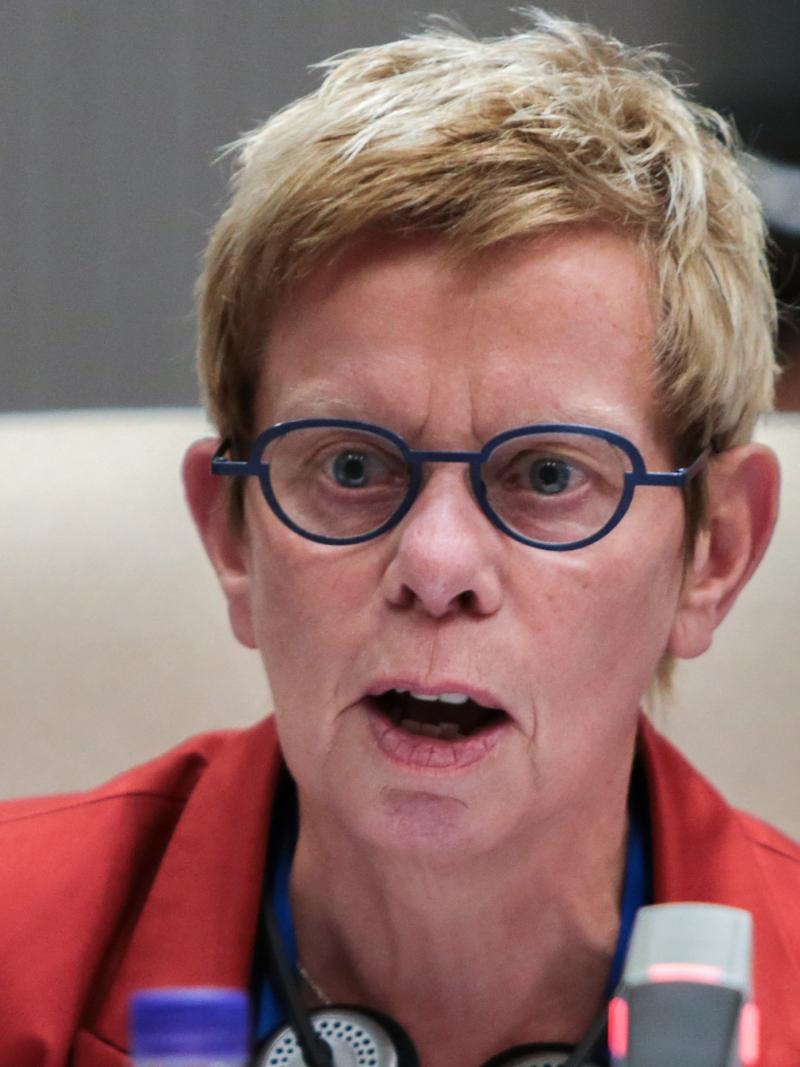 Rita Van Driel speaking
