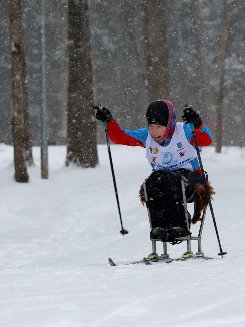 A child in a sledge competing in a cross-country race in the snow