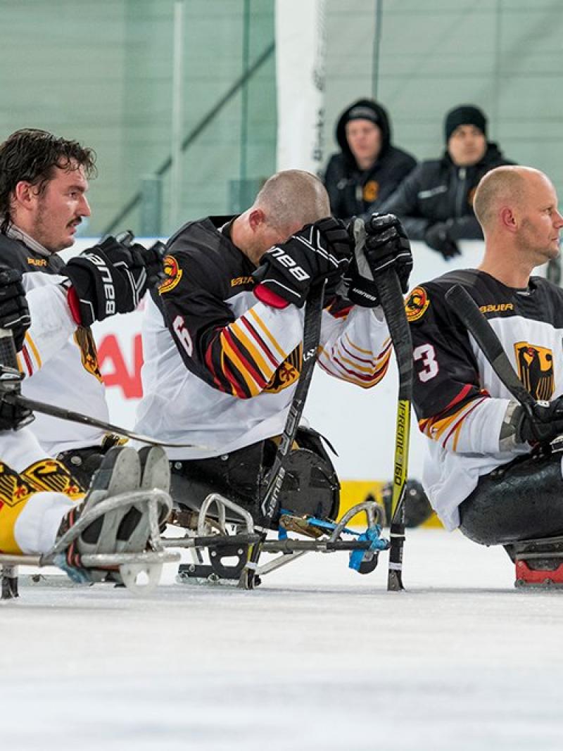 Para ice hockey players gazing in a row one after another