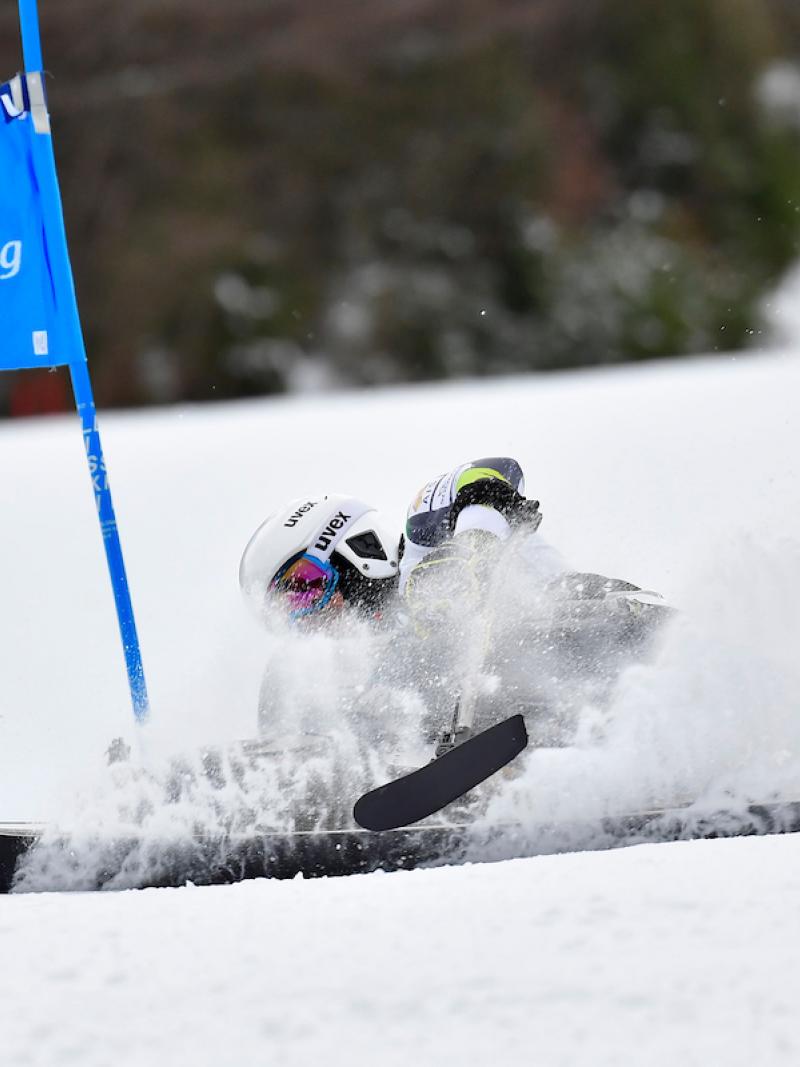 A Para Alpine skier crashing during a race