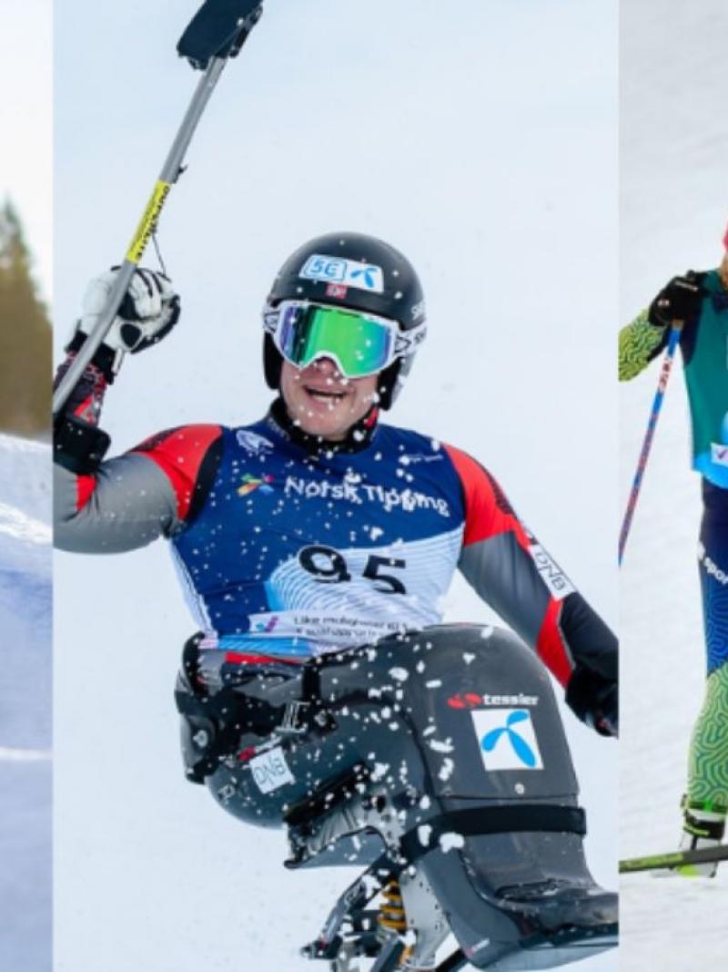 A photo collage with a snowboarder, a male sit-skier and a cross-country skier following her guide