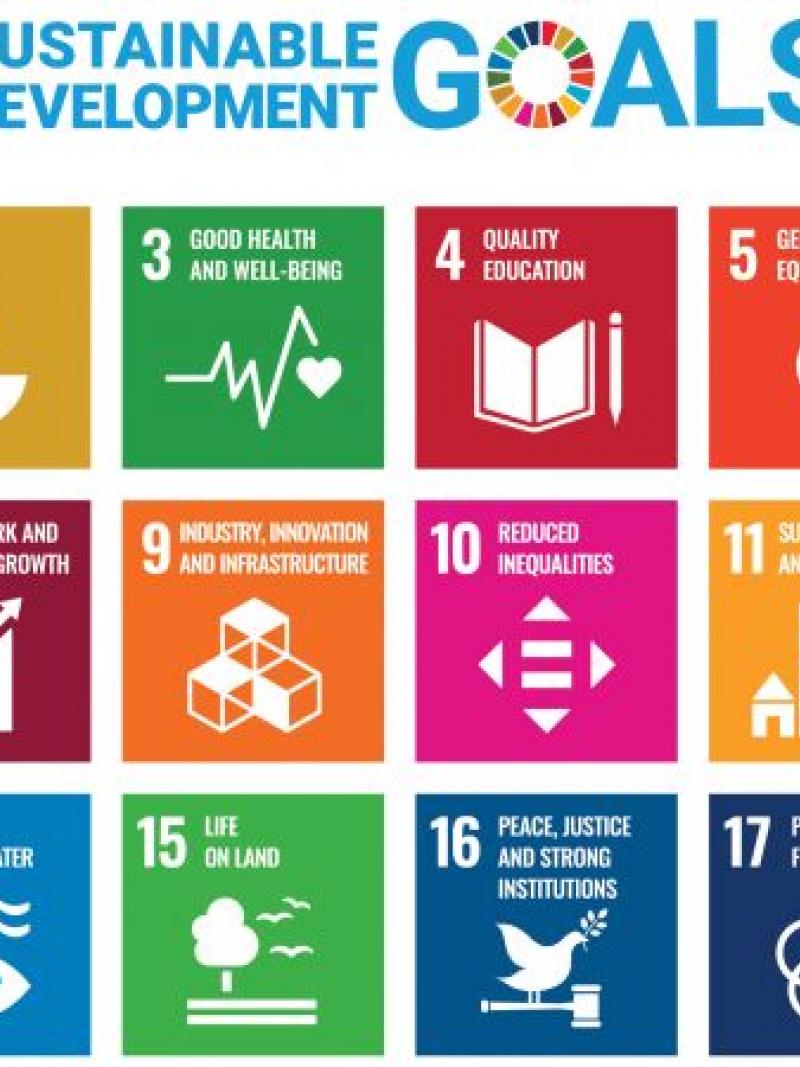 A banner showing the 17 Sustainable Development Goals of the United Nations