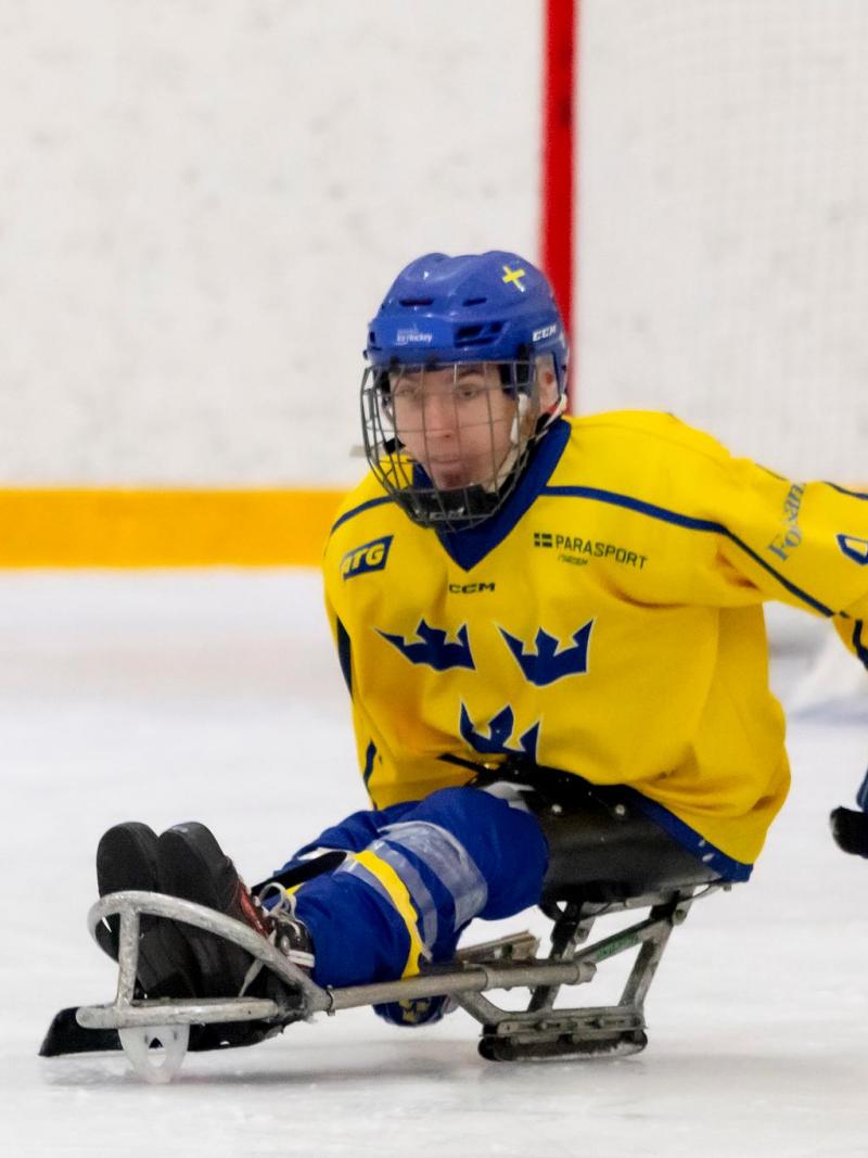 Para Ice Hocket athletes in action