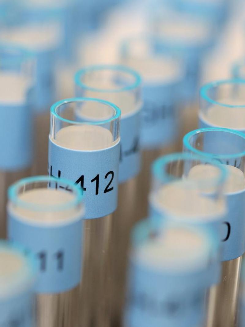 Test tubes that are labelled on a tray