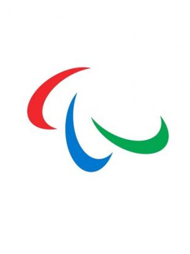 The Paralympic symbol with the words VISTA CONFERENCE 