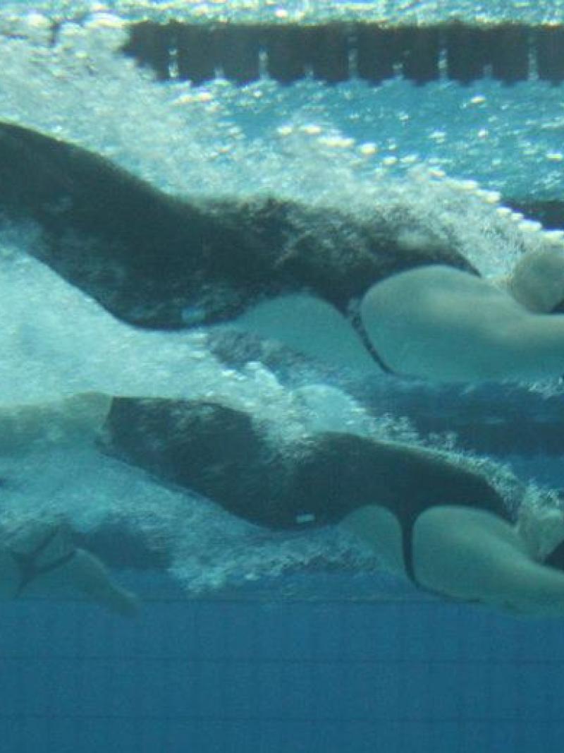 Swimming at the Parapans 2011