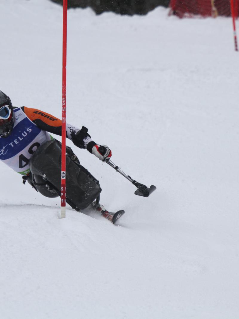 Sit skier
