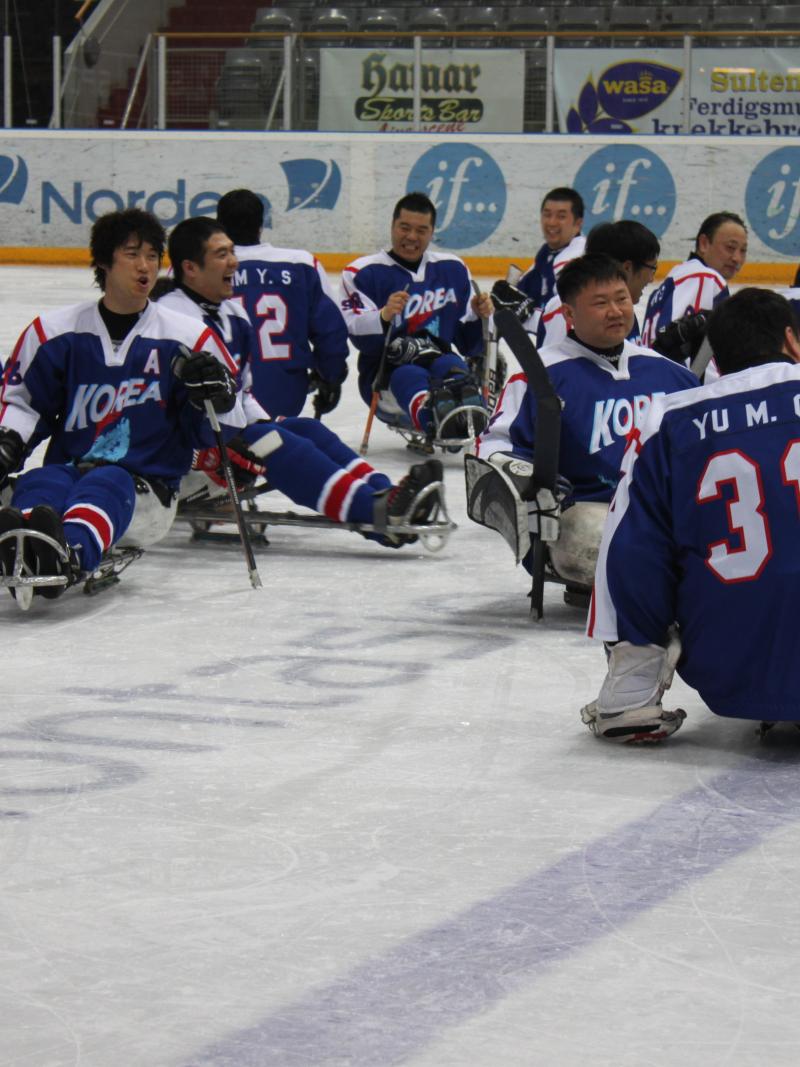Korea Ice Sledge Hockey
