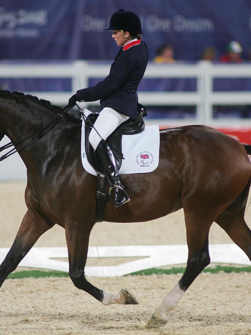 rider on horse
