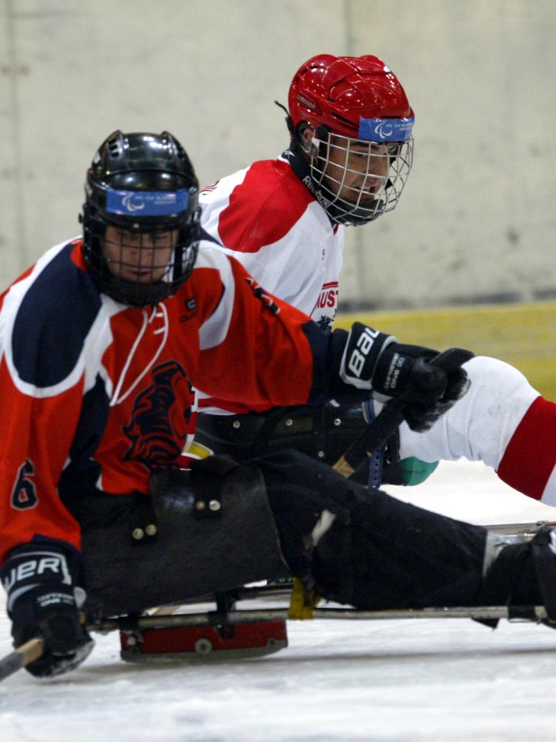 Netherlands ice sledge hockey