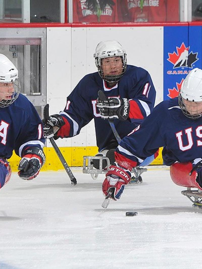 USA sledge hockey