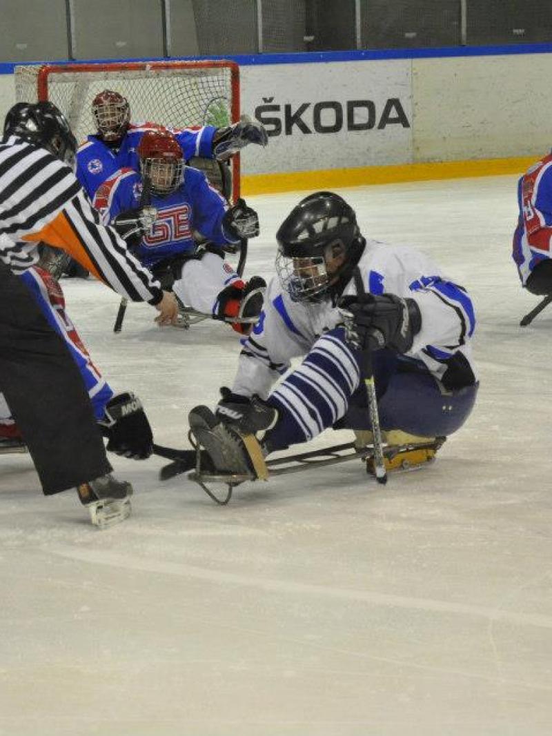 Estonia ice sledge hockey