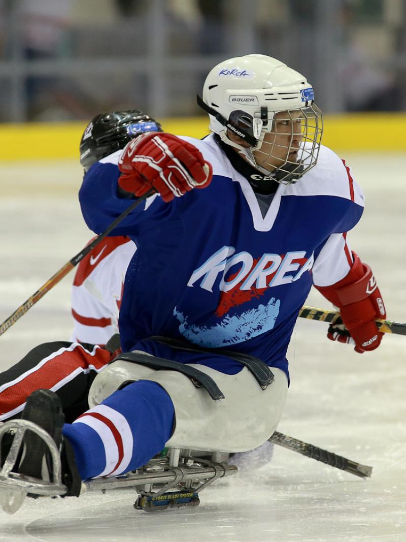 Korea ice sledge hockey