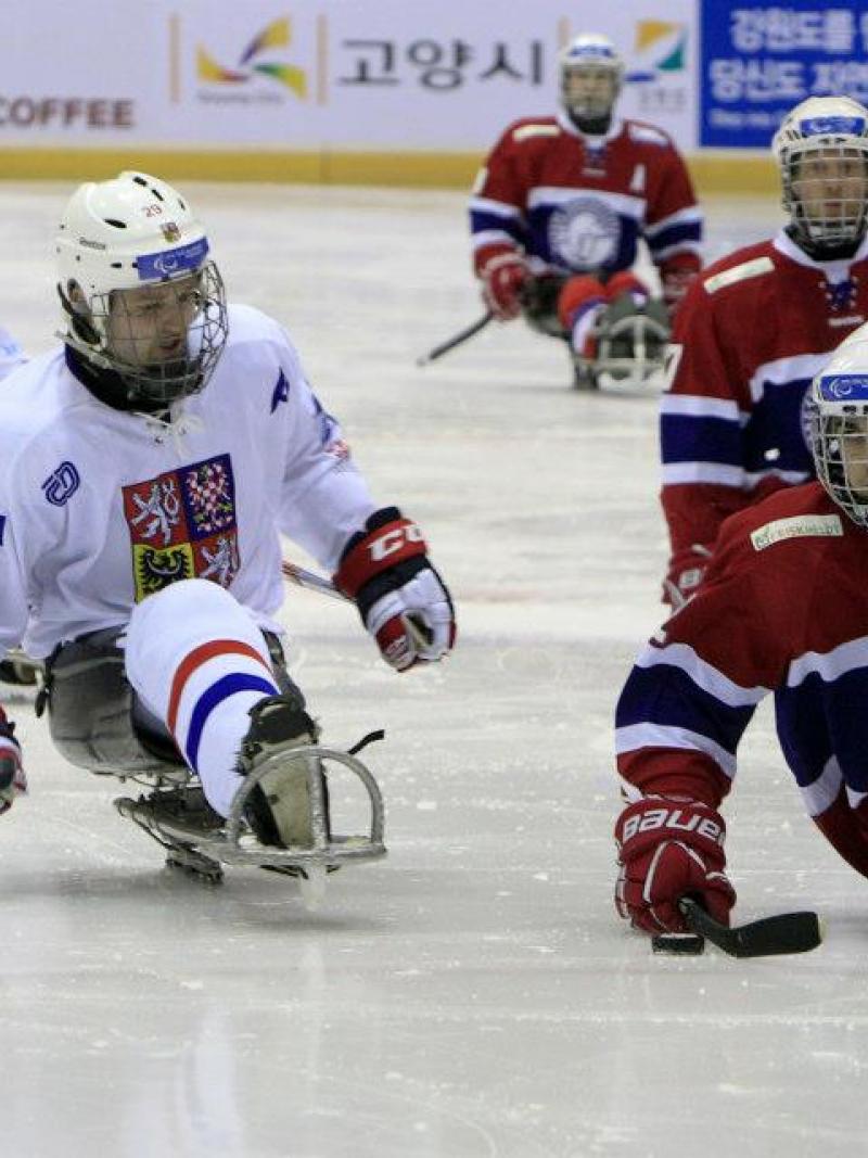 Norway's ice sledge hockey team