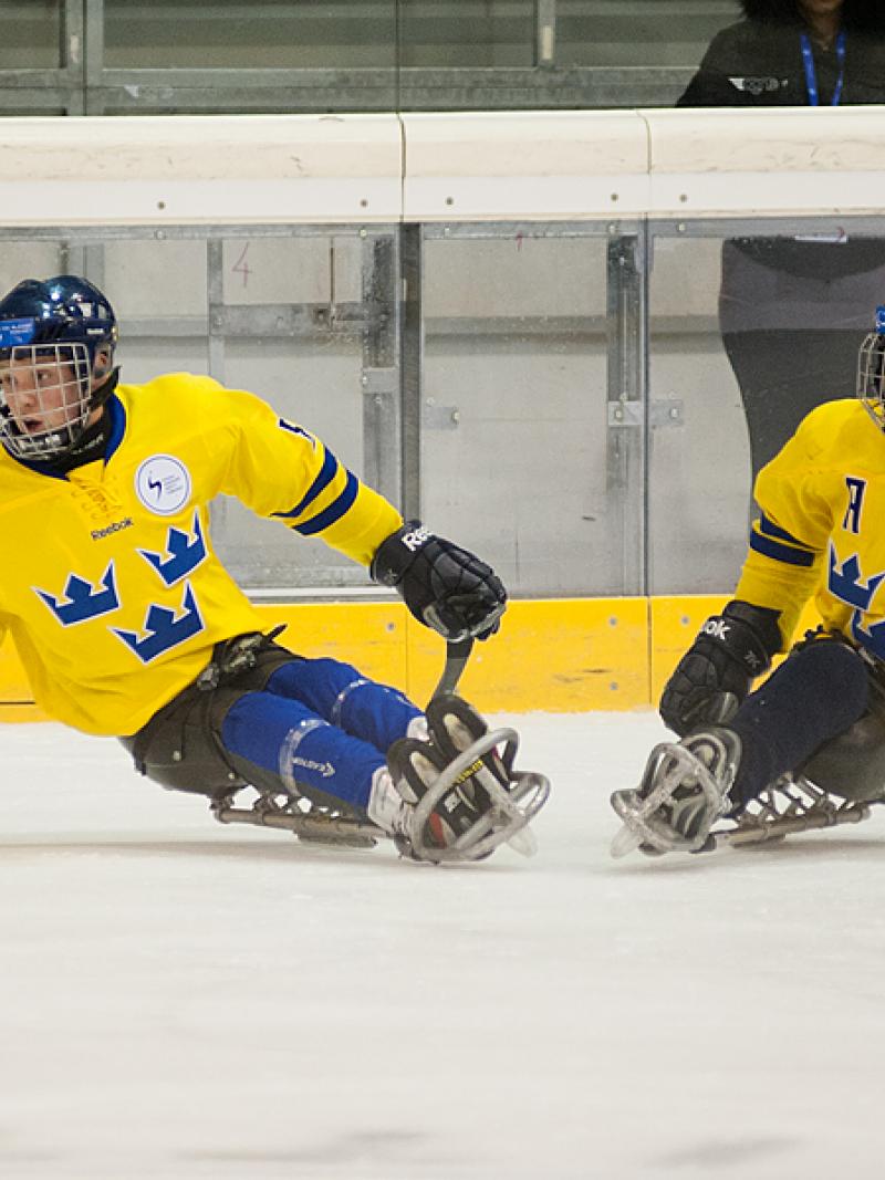 Sweden's ice sledge hockey team