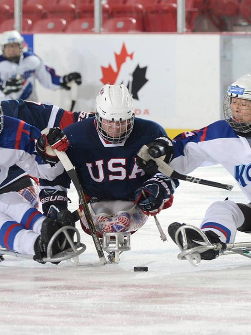 USA and South Korea's ice sledge hockey teams