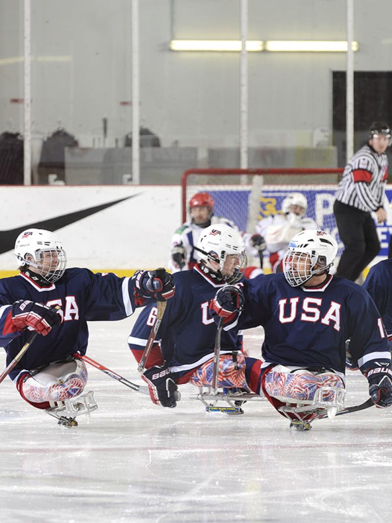 USA's ice sledge hockey team