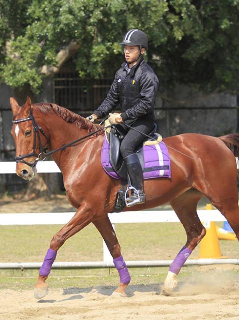 A para-equestrian rider is pictured galloping on his horse.