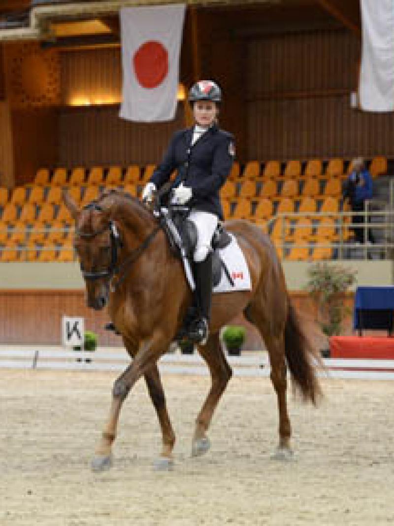 An equestrian rider rides her horse in an empty arena. 