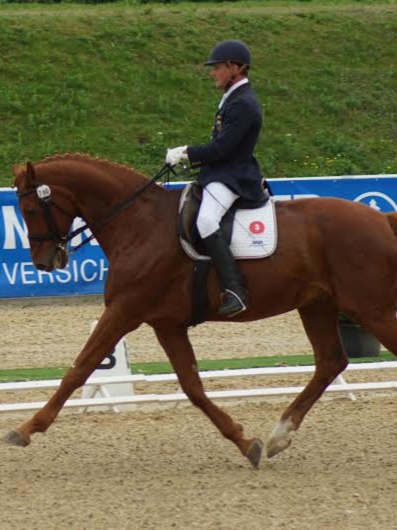 A para-equestrian rider gallops on a horse.