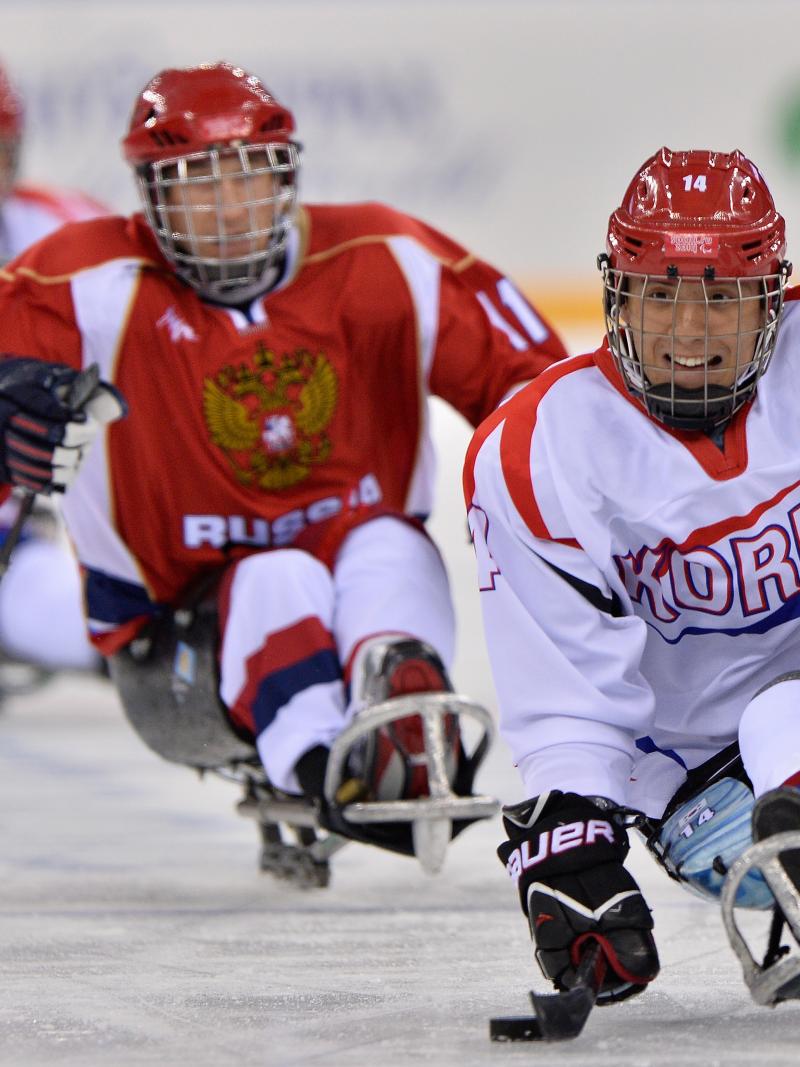 An ice sledge hockey player scoots up the ice with the puck.