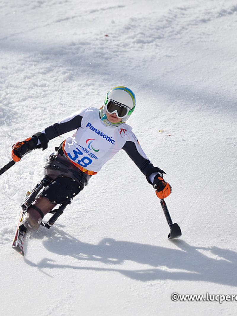 an para alpine skier skies down the slope