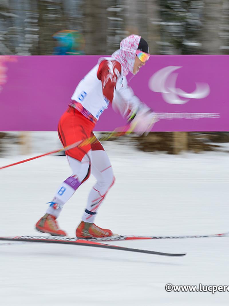 a male Para Nordic skier
