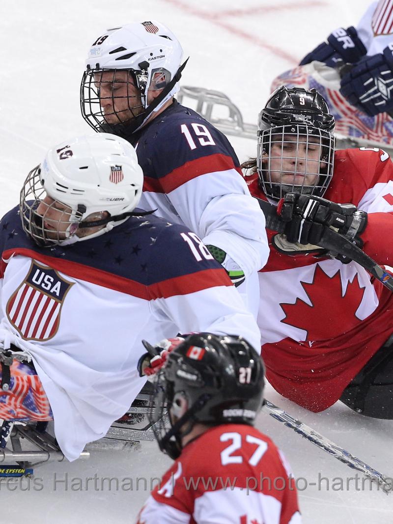 two players in sledges fight for the puck