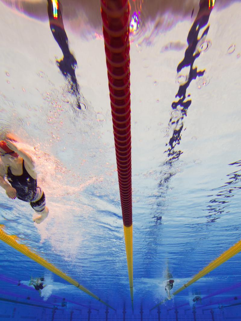 Under water shot, leads the pack