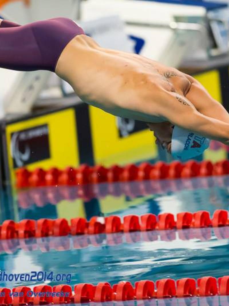 A swimmer diving into the pool at the start of a race.