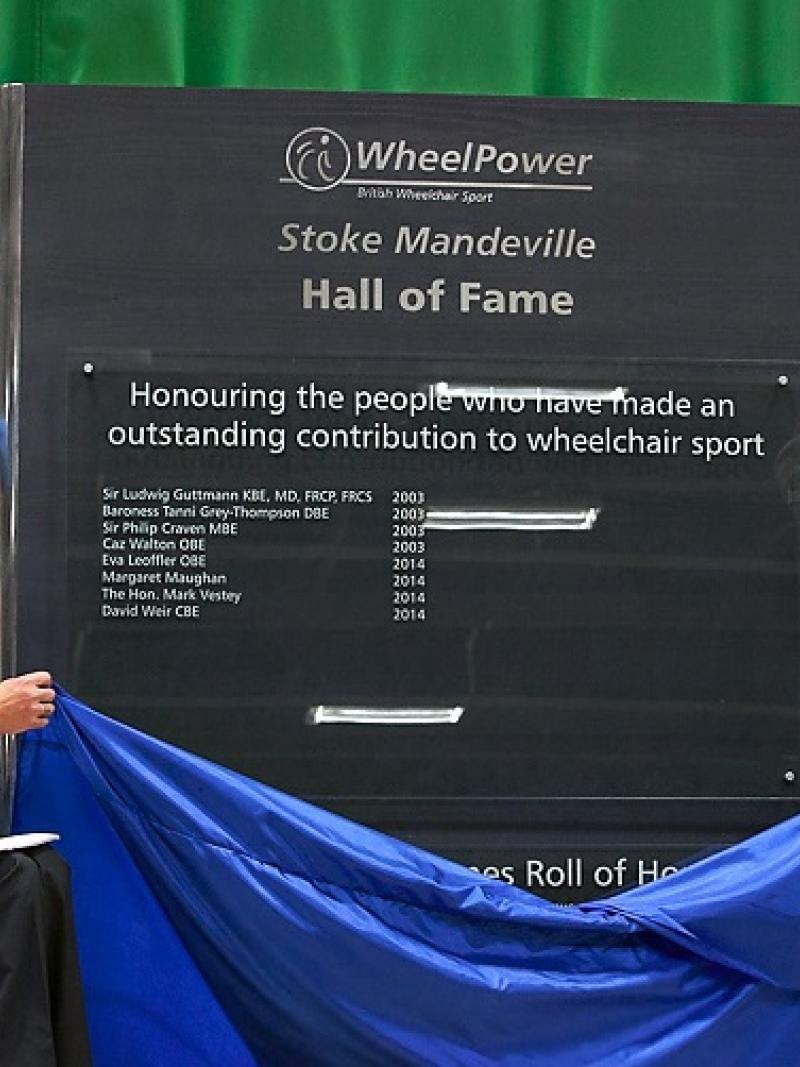 One women and one man in a wheelchair pull a curtain off a wall.