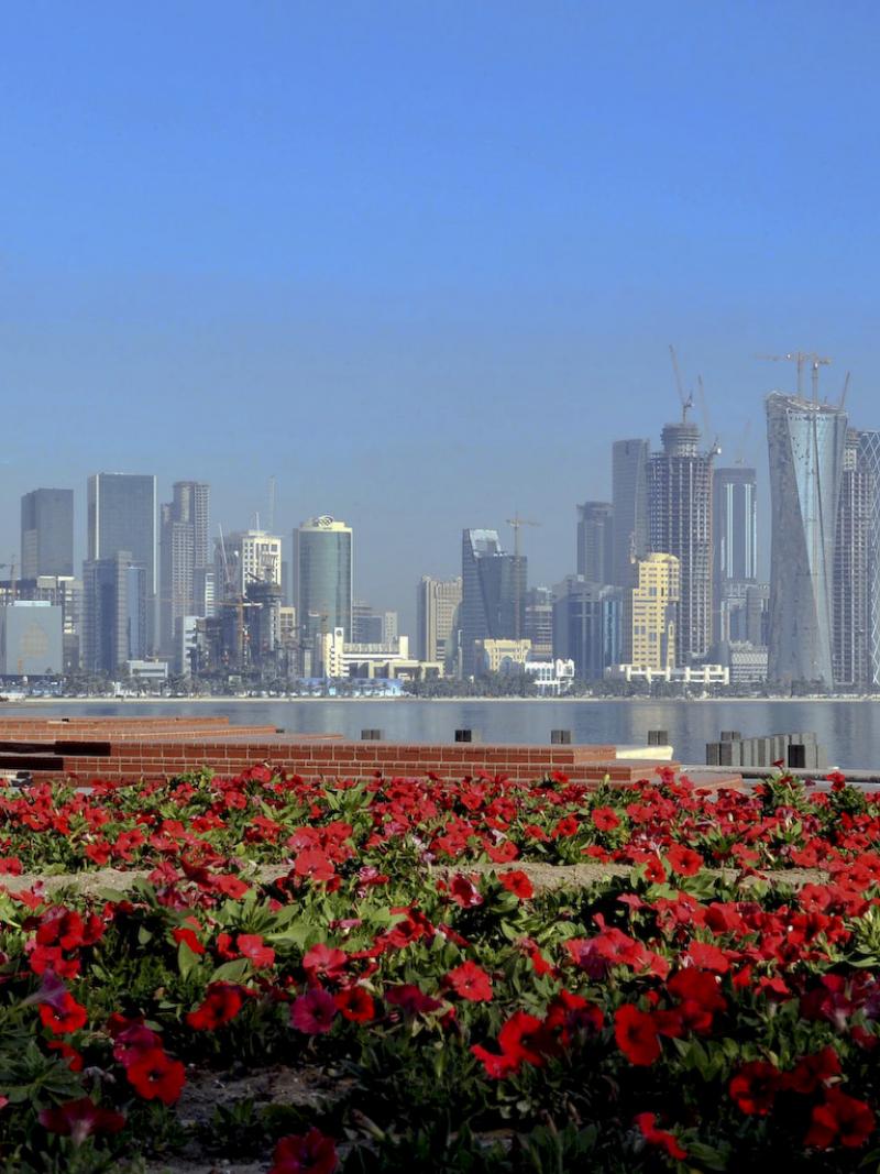 A skyline with many skyscrapers in the background. Red flowers and water in the front.