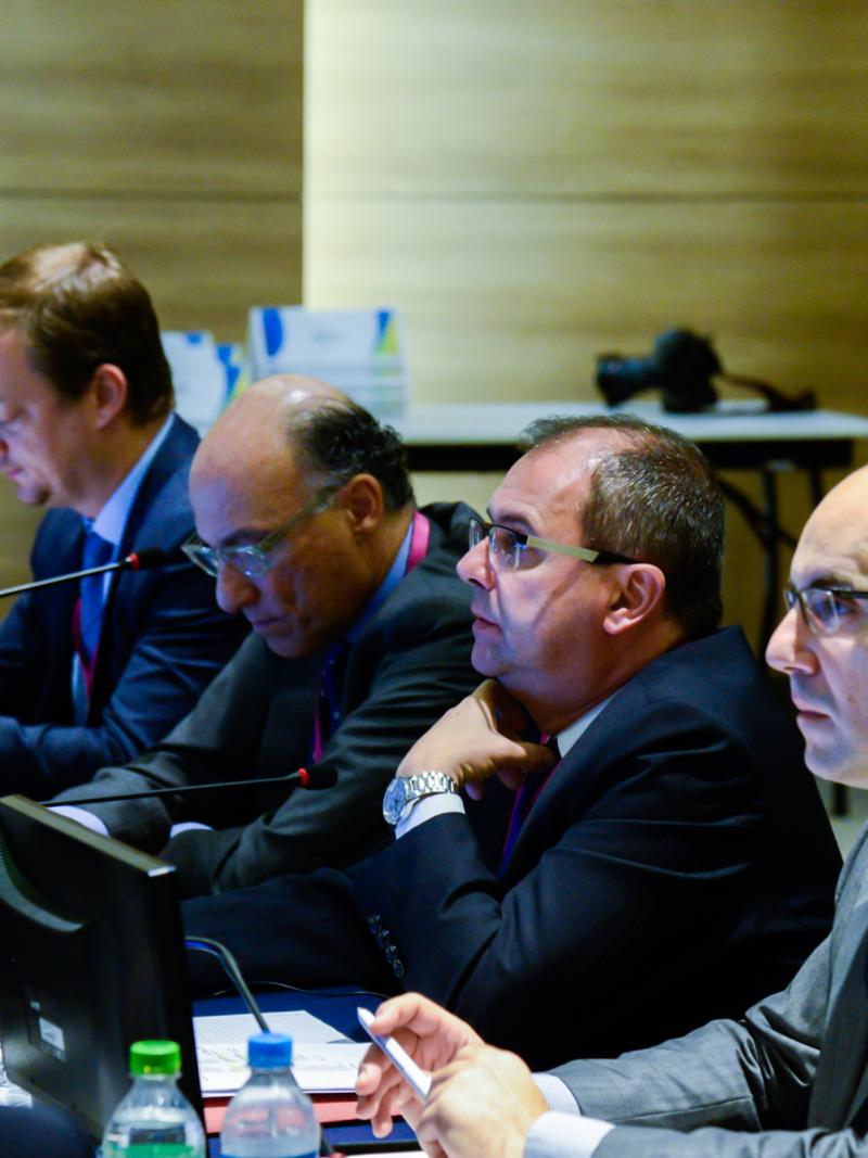The sixth IPC Rio 2016 Project Review took place 10-11 November 2014.