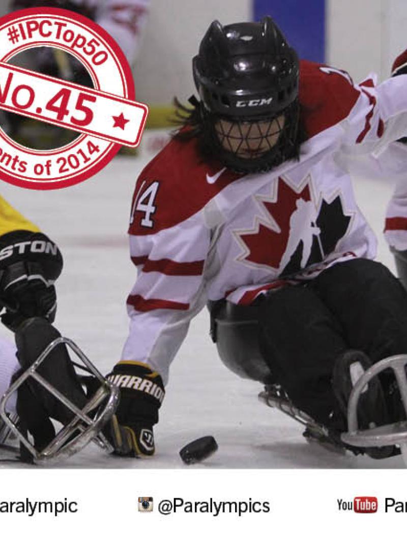 Female ice sledge hockey players