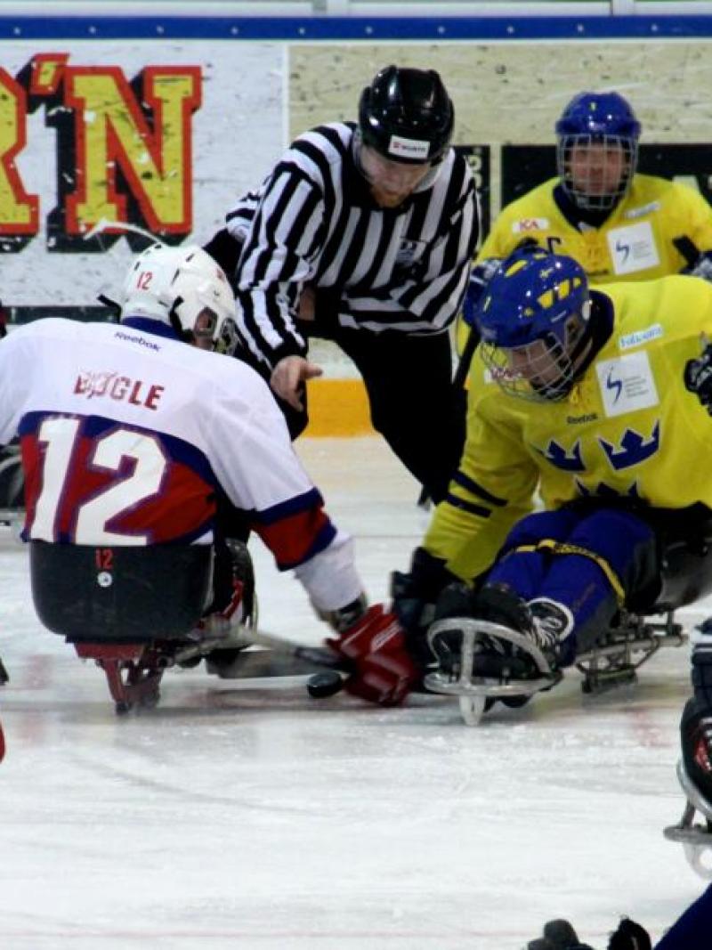Sledge hockey players on the ice in action