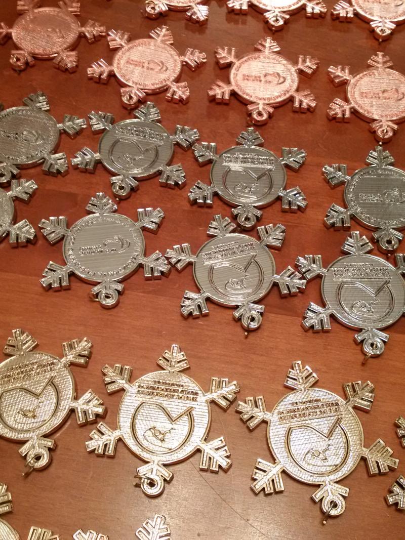 The medals for the 2015 IPC Alpine Skiing World Championships