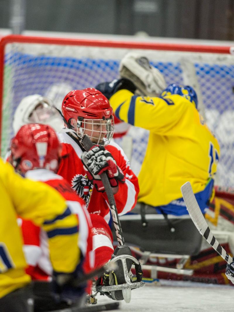 Five ice sledge hockey players on the field during a game
