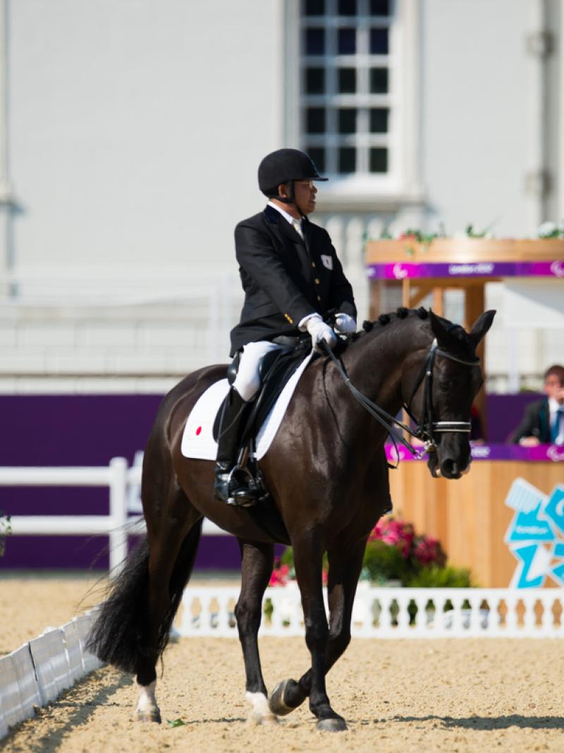 Man on horse riding in a stadium