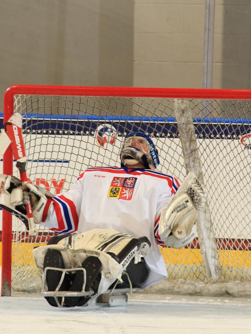 Jan Matousek at the 2015 IPC Ice Sledge Hockey World Championships A-Pool in Buffalo, USA.