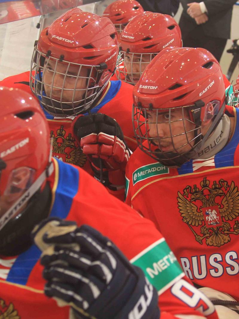 Group of ice sledge hockey players
