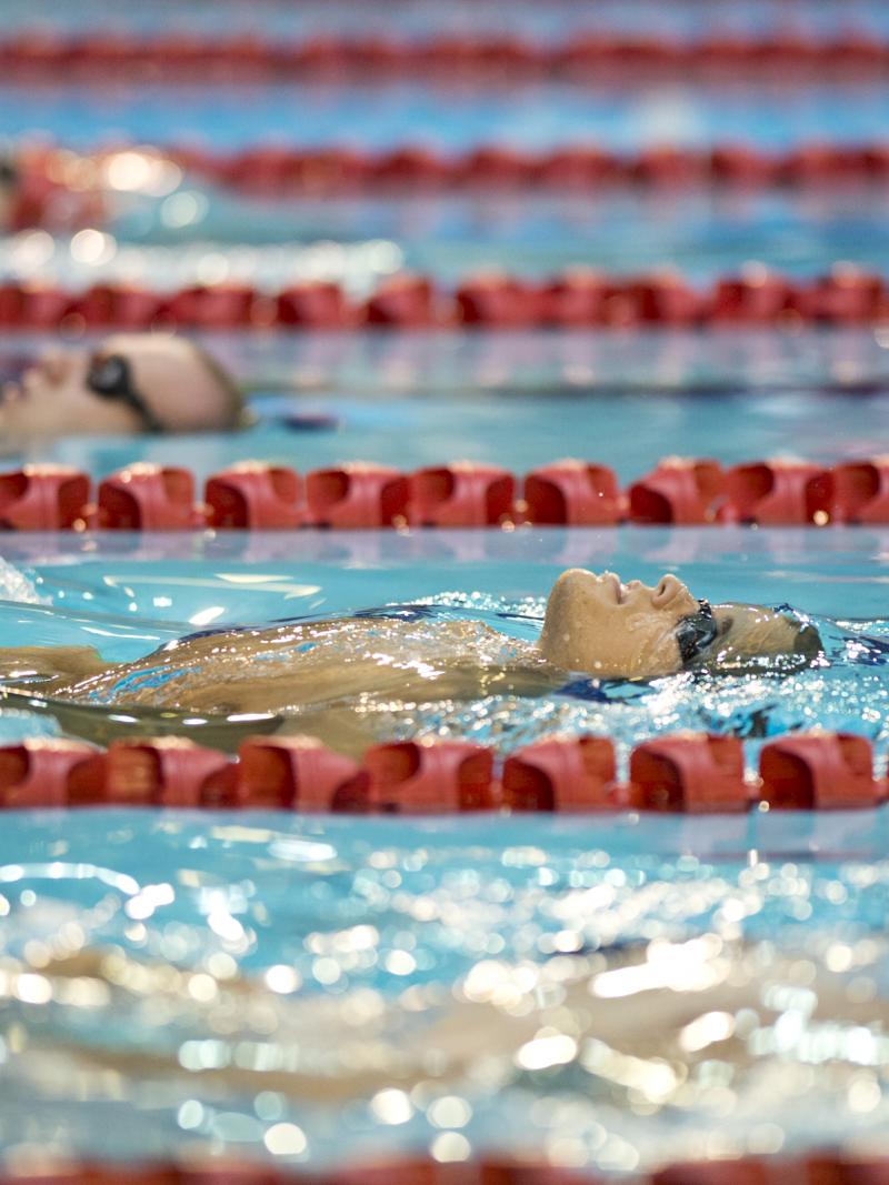 Swimmers doing backstroke
