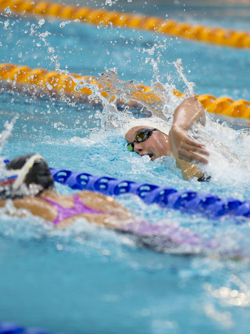Two swimmers racing in a pool