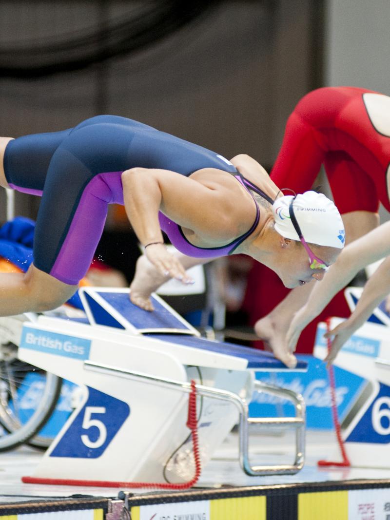 Swimmers launch into the pool