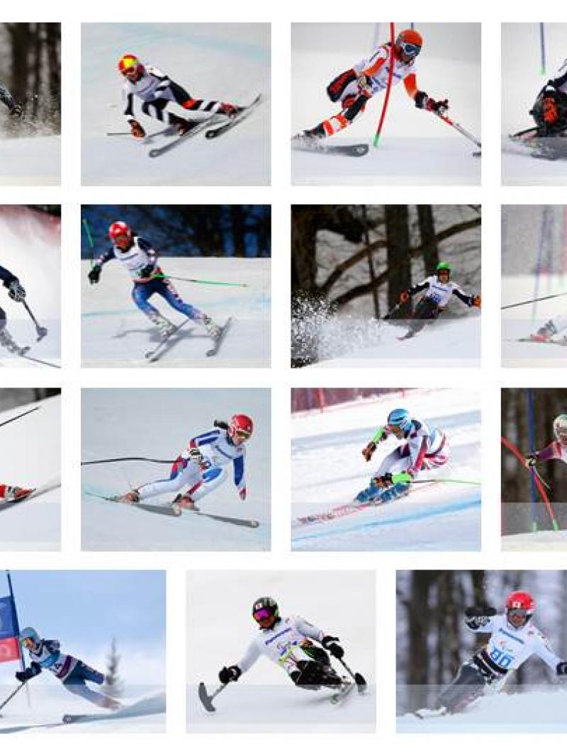 Alpine skiing Ones to watch 2015/2016 collage