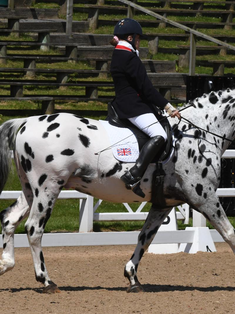 Woman riding on a black and white horse